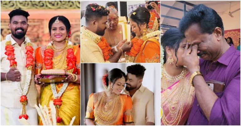 Serial Actress Arya Anil Marriage Video Viral