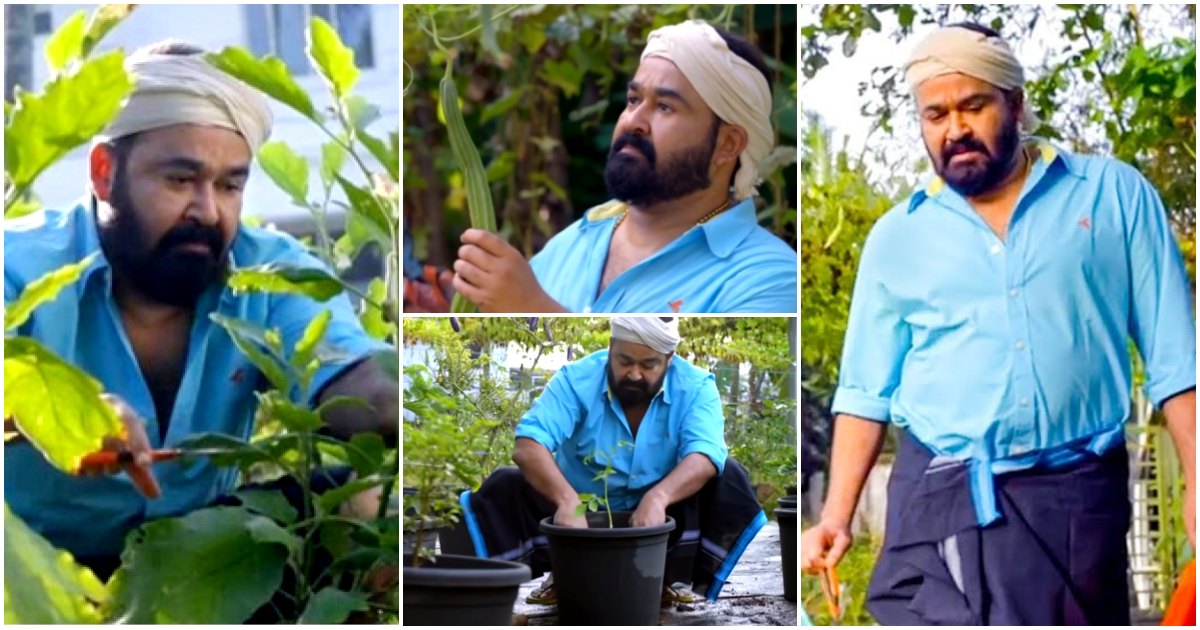 Mohanlal At His Agricultural Farm Viral Entertainment News Malayalam