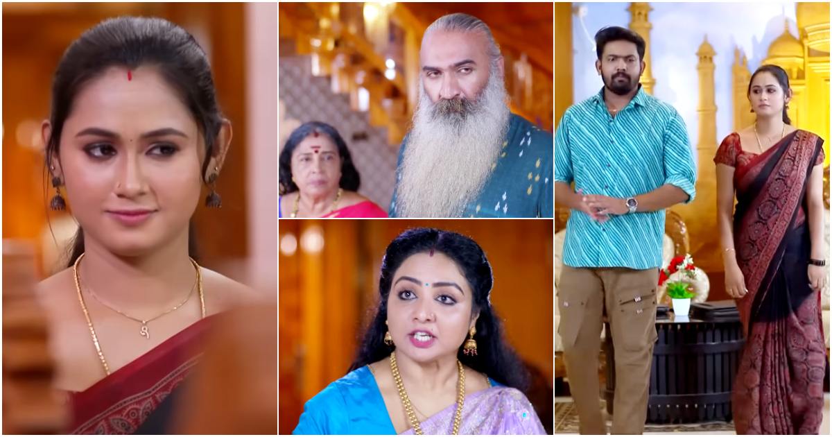 Patharamattu Latest Episode 01 Aug 2024 Video