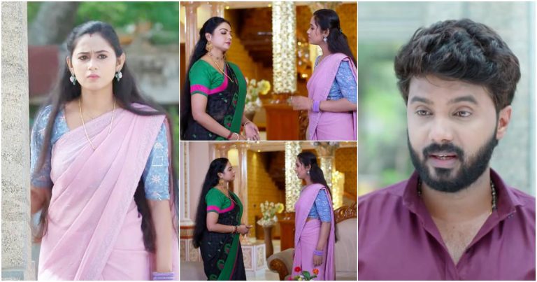 Patharamattu Latest Episode 03 Aug 2024 Video