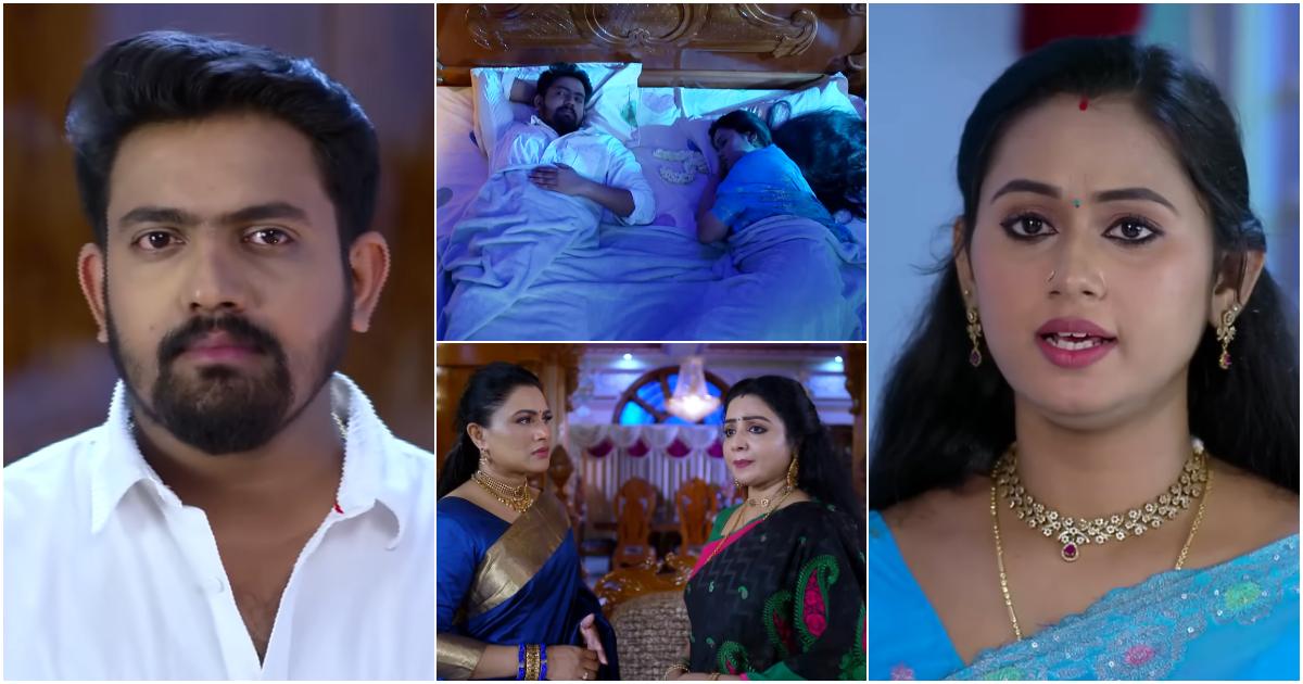 Patharamattu Latest Episode 14 Aug 2024 Aug 2024 Video