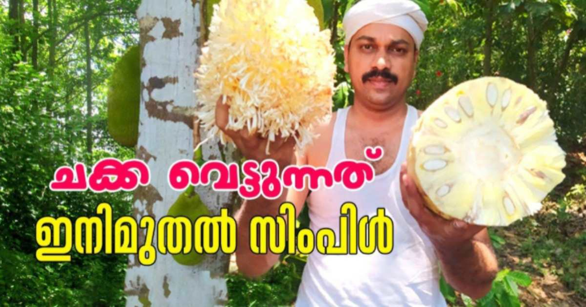 Easy Tip For Jackfruit Cutting