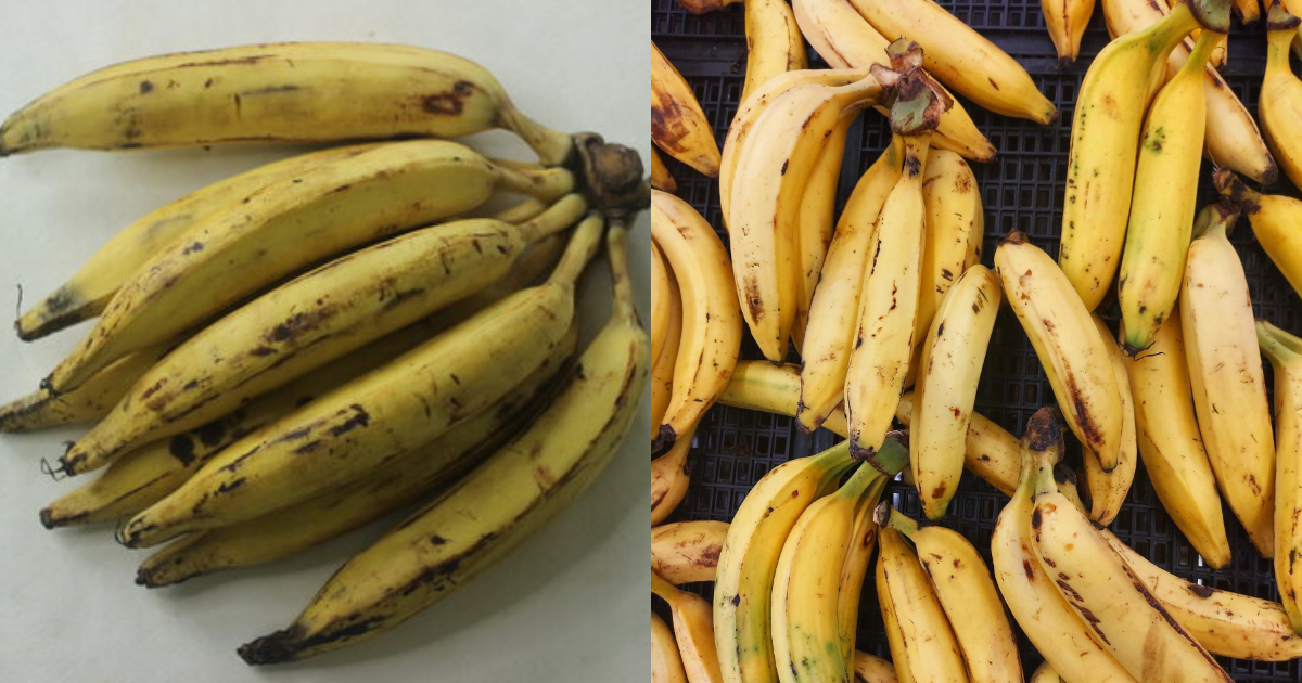 Healthy Benefits Of Banana