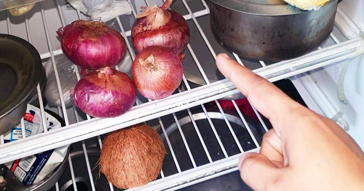 Tips For Storing Onion In Fridge